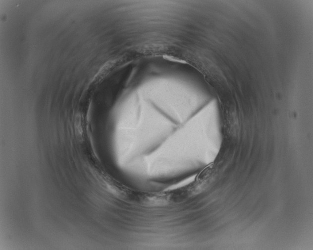 X0000073530232200608211838