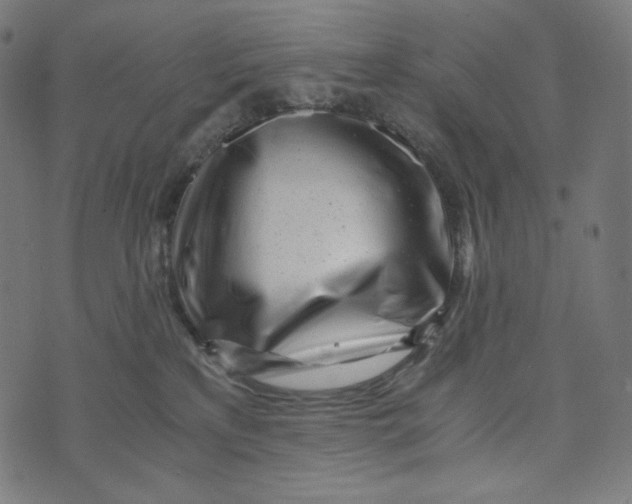X0000073530233200608211838