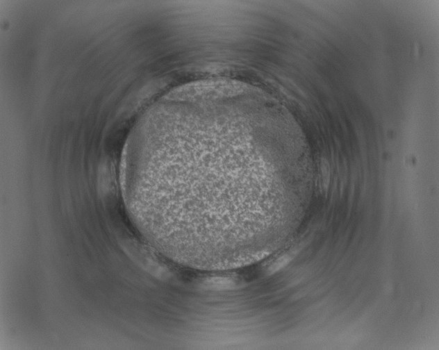 X0000073530236200608211838