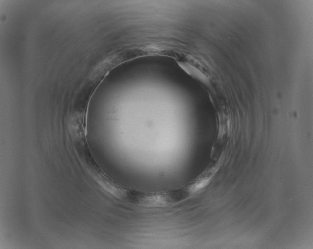 X0000073530237200608211838