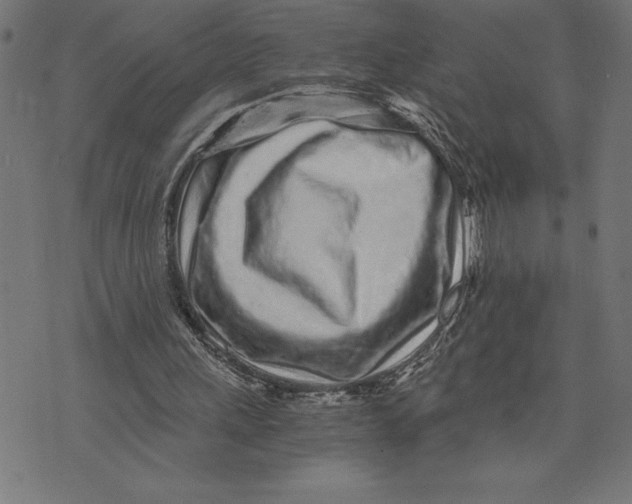 X0000073530243200608211837