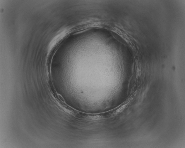 X0000073530245200608211837