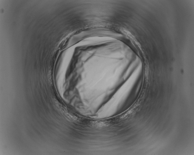X0000073530249200608211837