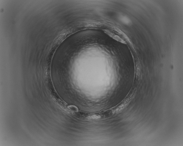 X0000073530257200608211837