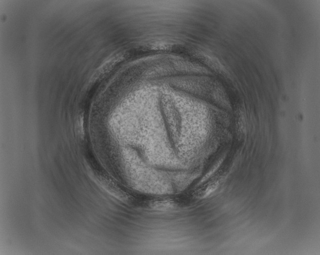 X0000073530262200608211837