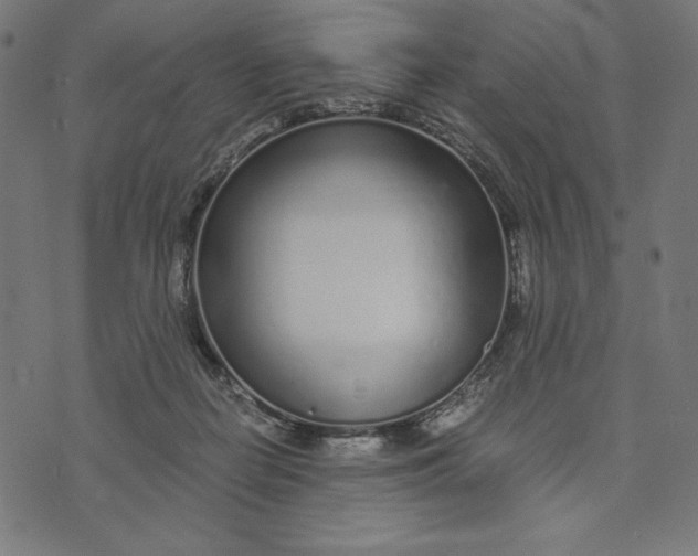 X0000073530266200608211837