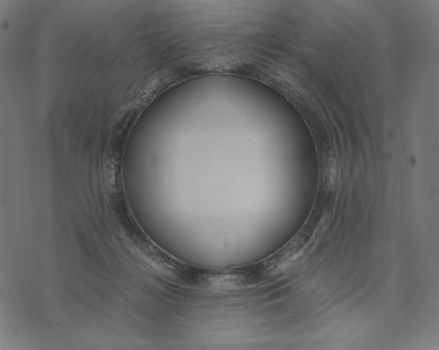 X0000073530268200608211837