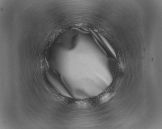 X0000073530272200608211837