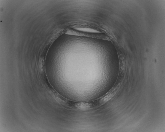 X0000073530273200608211837