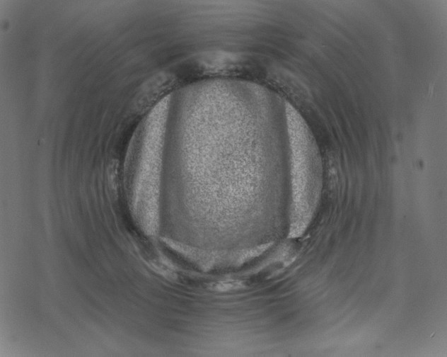 X0000073530275200608211837