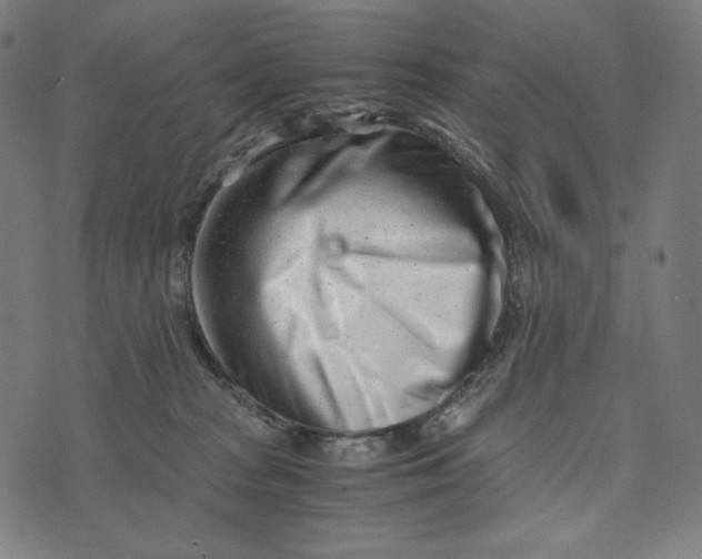X0000073530277200608211837