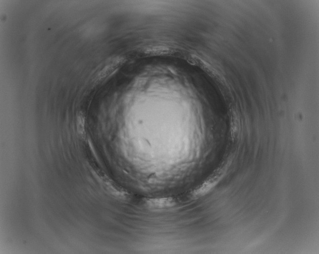 X0000073530281200608211837