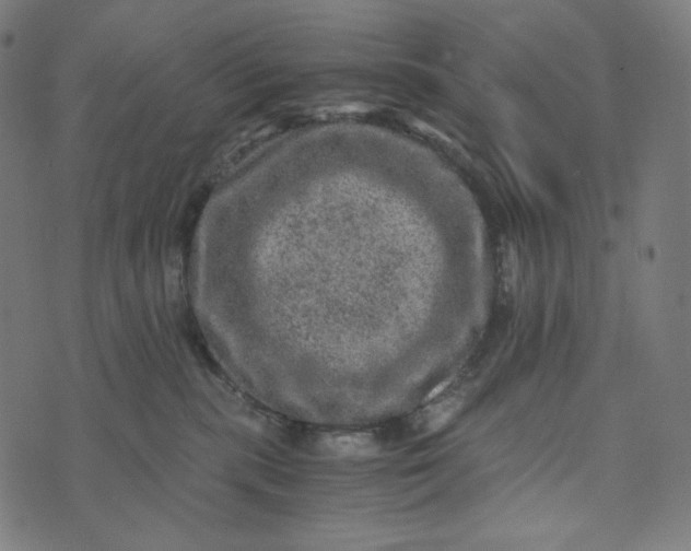 X0000073530283200608211837