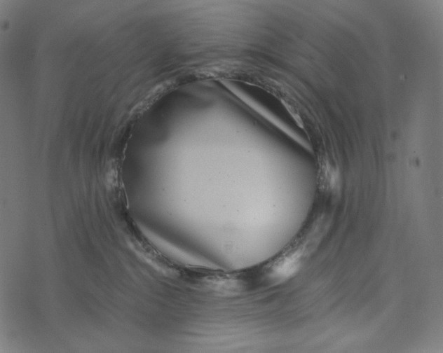 X0000073530284200608211837