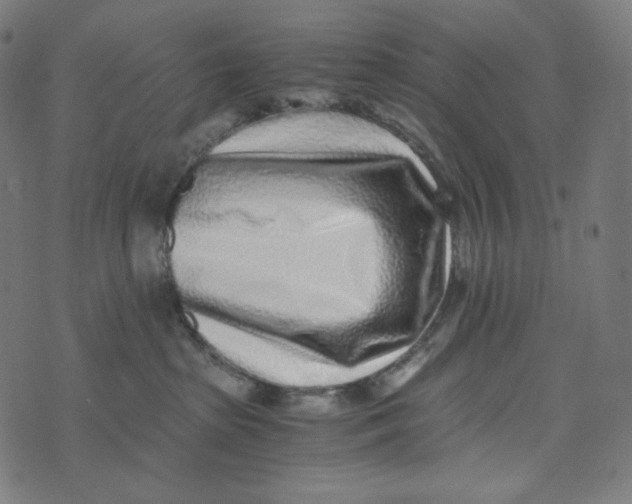 X0000073530285200608211837