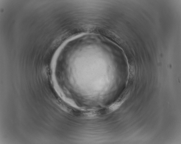 X0000073530286200608211837