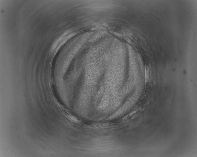 X0000073530291200608211837