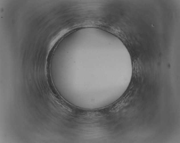 X0000073530292200608211837