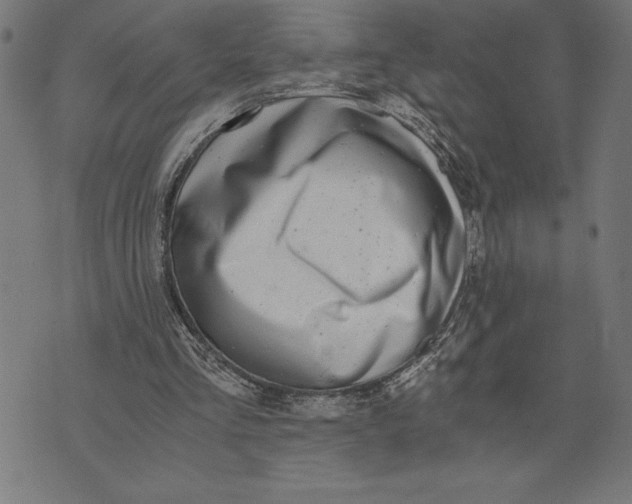 X0000073530293200608211837