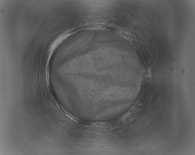 X0000073530294200608211837
