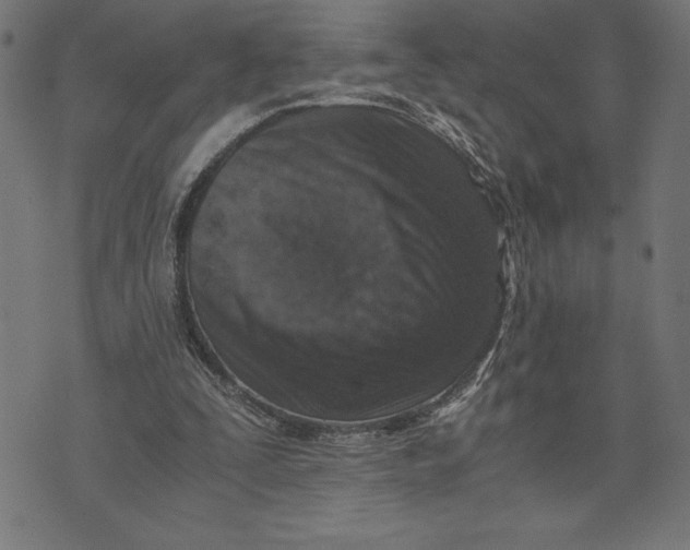 X0000073530295200608211836