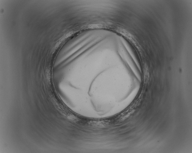 X0000073530297200608211836