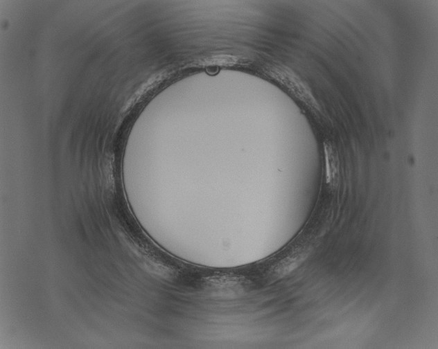 X0000073530300200608211836