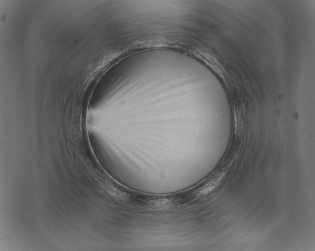 X0000073530301200608211836