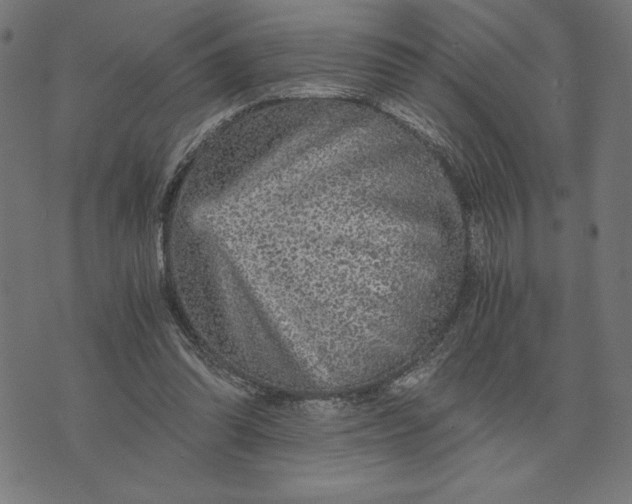 X0000073530302200608211836