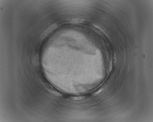 X0000073530303200608211836