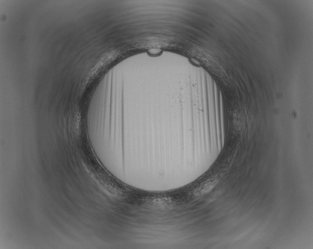 X0000073530304200608211836