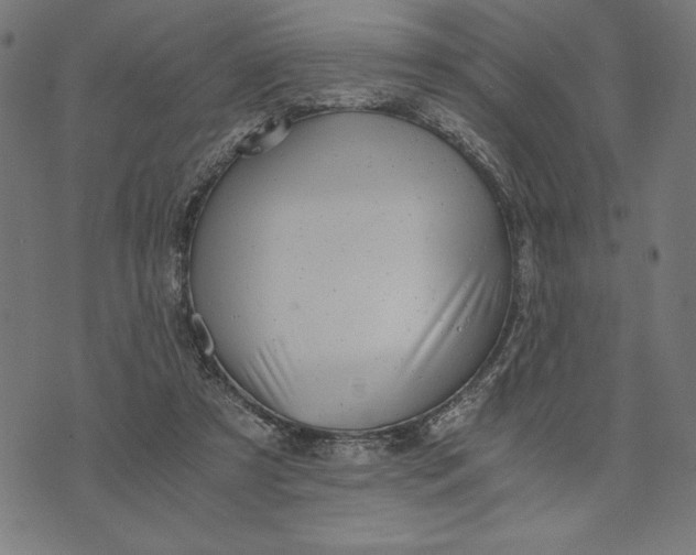 X0000073530305200608211836
