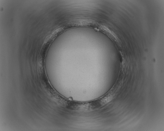 X0000073530306200608211836