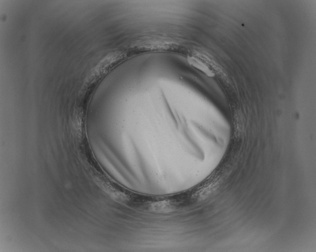 X0000073530309200608211836
