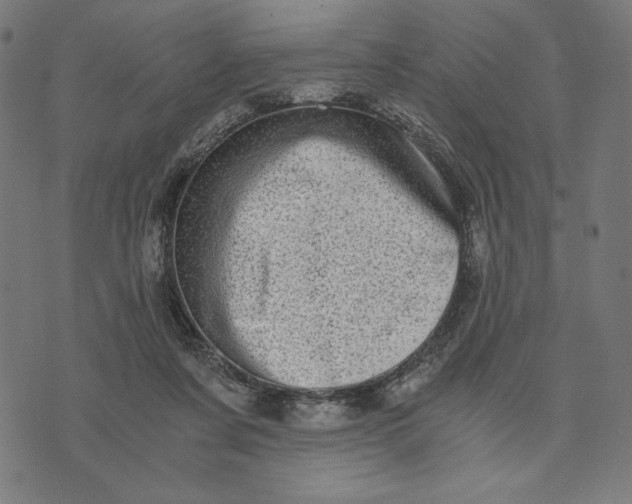 X0000073530311200608211836