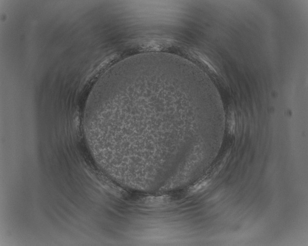 X0000073530314200608211836