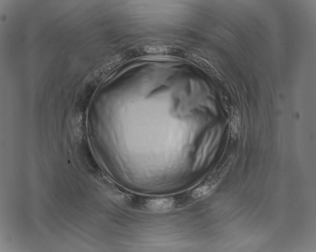 X0000073530319200608211836