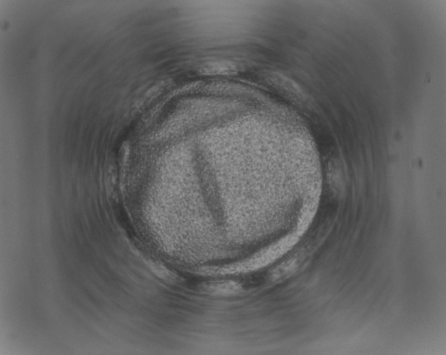 X0000073530322200608211836