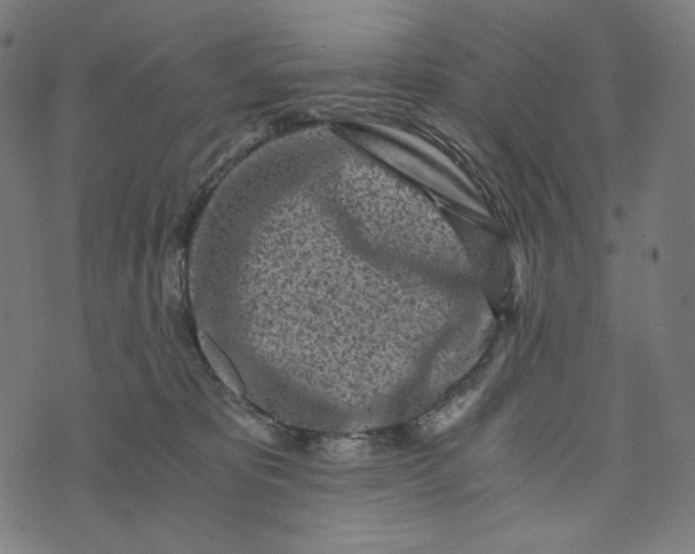 X0000073530325200608211836