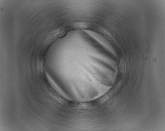 X0000073530330200608211836