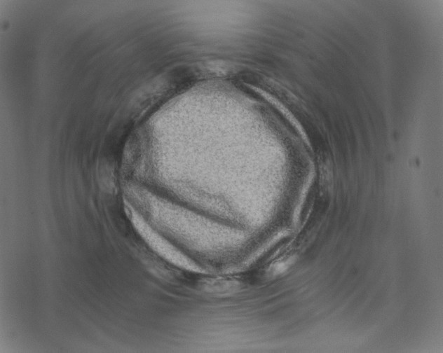 X0000073530331200608211836