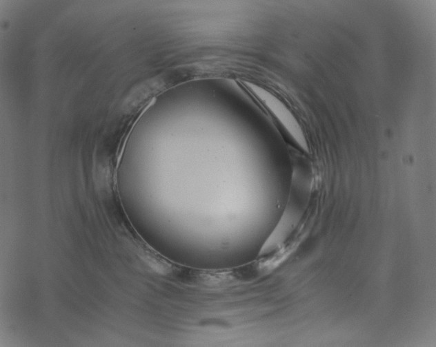 X0000073530333200608211836
