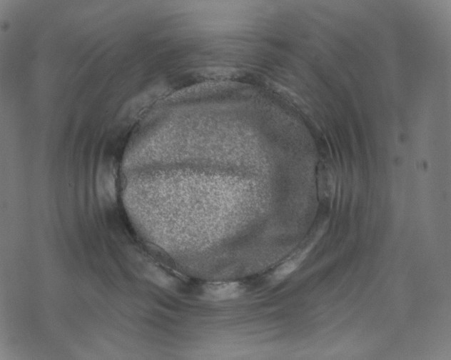 X0000073530334200608211836