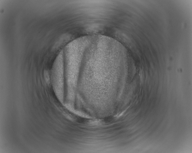 X0000073530335200608211836