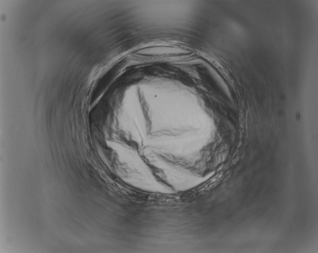 X0000073530337200608211835