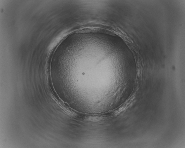 X0000073530341200608211835
