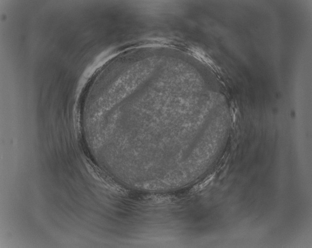 X0000073530343200608211835