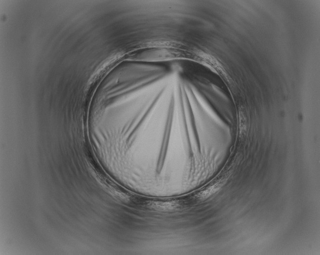 X0000073530349200608211835