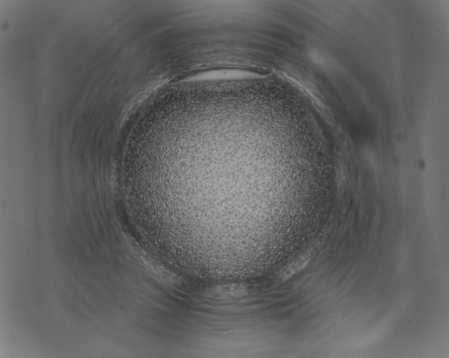 X0000073530353200608211835