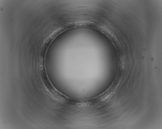 X0000073530356200608211835